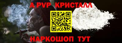 спиды Моздок