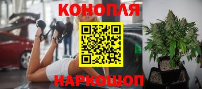 метадон Можга