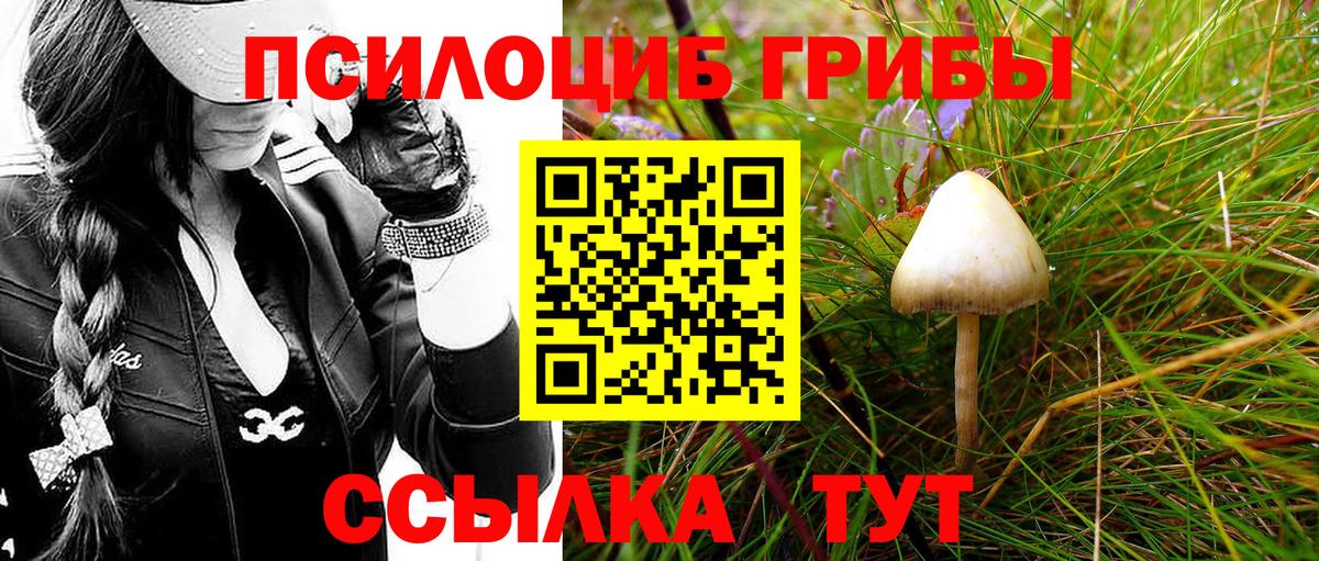 Черкесск  Галлюциногенные грибы ЛСД  Вход с VPN 